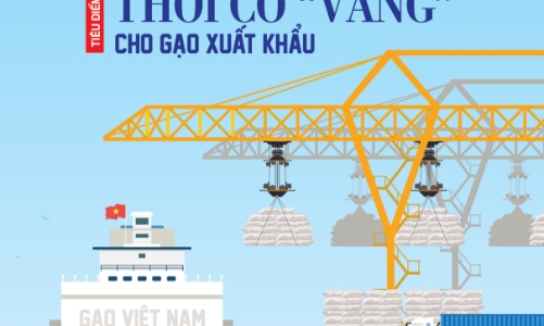 Đón đọc Tạp chí Kinh tế Việt Nam số 33-2023