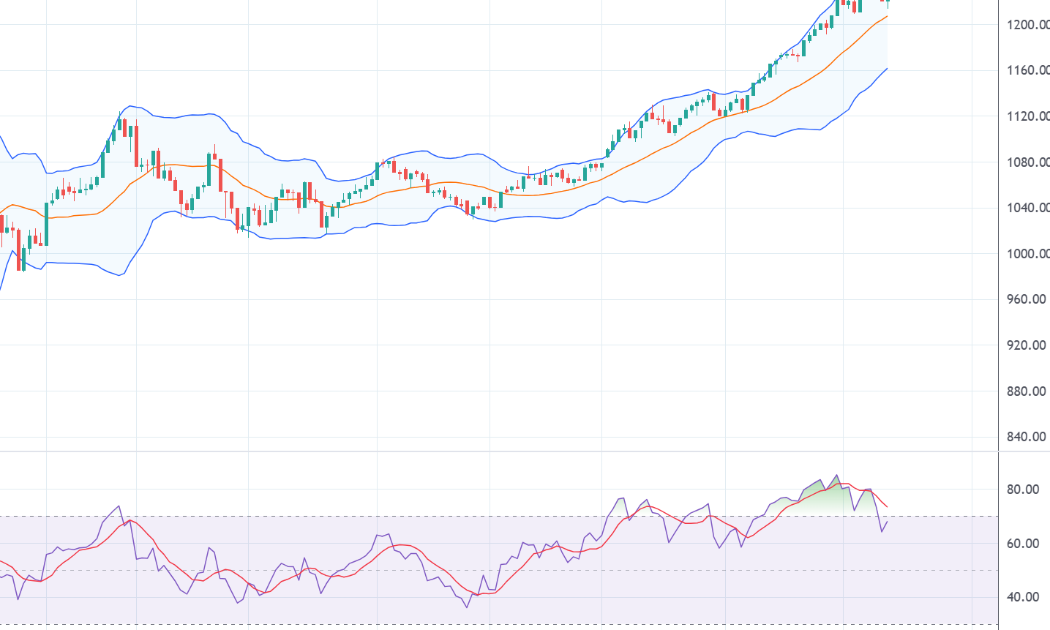 VN-Index và chỉ báo kỹ thuật RSI.