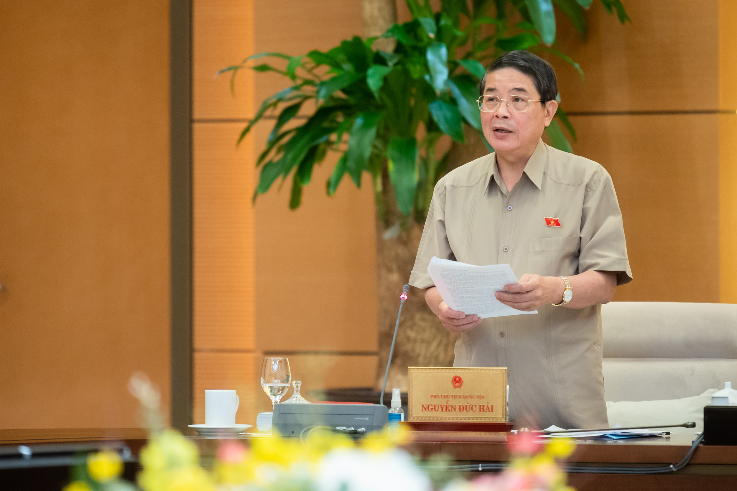 Phó Chủ tịch Quốc hội Nguyễn Đức Hải. 