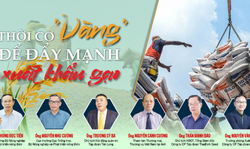 Thời cơ “vàng” để đẩy mạnh xuất khẩu gạo