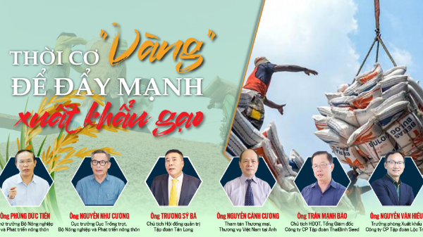 Thời cơ “vàng” để đẩy mạnh xuất khẩu gạo