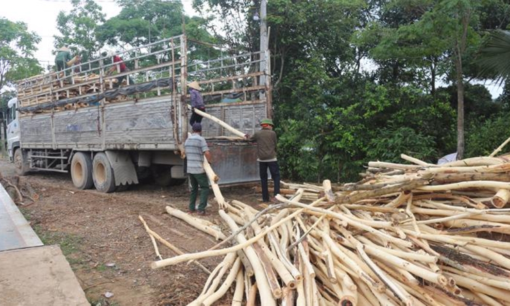 Trong quá trình phân tích dữ liệu chuỗi hóa đơn của doanh nghiệp đề nghị hoàn thuế, cơ quan thuế phát hiện nhiều điểm bất thường.