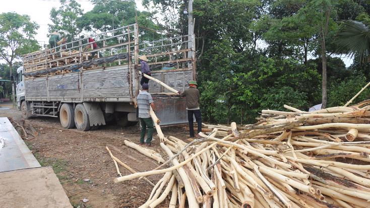 Trong quá trình phân tích dữ liệu chuỗi hóa đơn của doanh nghiệp đề nghị hoàn thuế, cơ quan thuế phát hiện nhiều điểm bất thường.