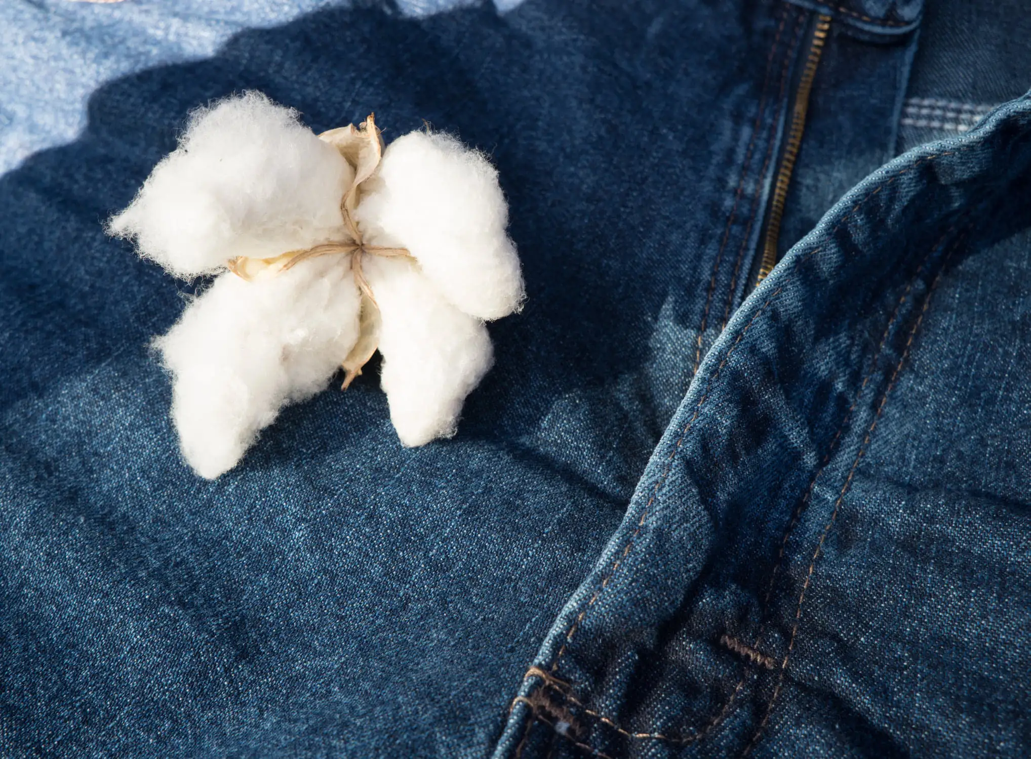 Thời tiết cực đoan l&agrave; mối đe dọa đối với chuỗi cung ứng v&igrave; c&oacute; thể l&agrave;m tăng chi ph&iacute;, hạn chế khả năng tiếp cận nguy&ecirc;n liệu th&ocirc; v&agrave; l&agrave;m gi&aacute;n đoạn sản xuất.&nbsp;