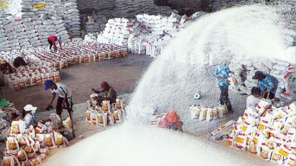 Xuất khẩu gạo tăng và khuyến nghị cho Việt Nam