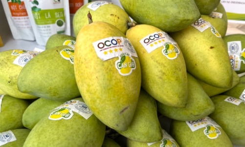 Người tiêu dùng sẽ được “thưởng thức” 1.000 câu chuyện sản phẩm OCOP trên sàn thương mại điện tử