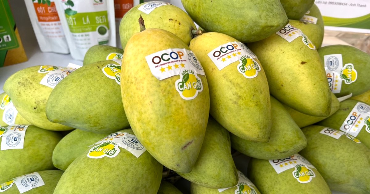 Xoài cát huyện Cần Giờ (TP.HCM) đạt chứng nhận OCOP.