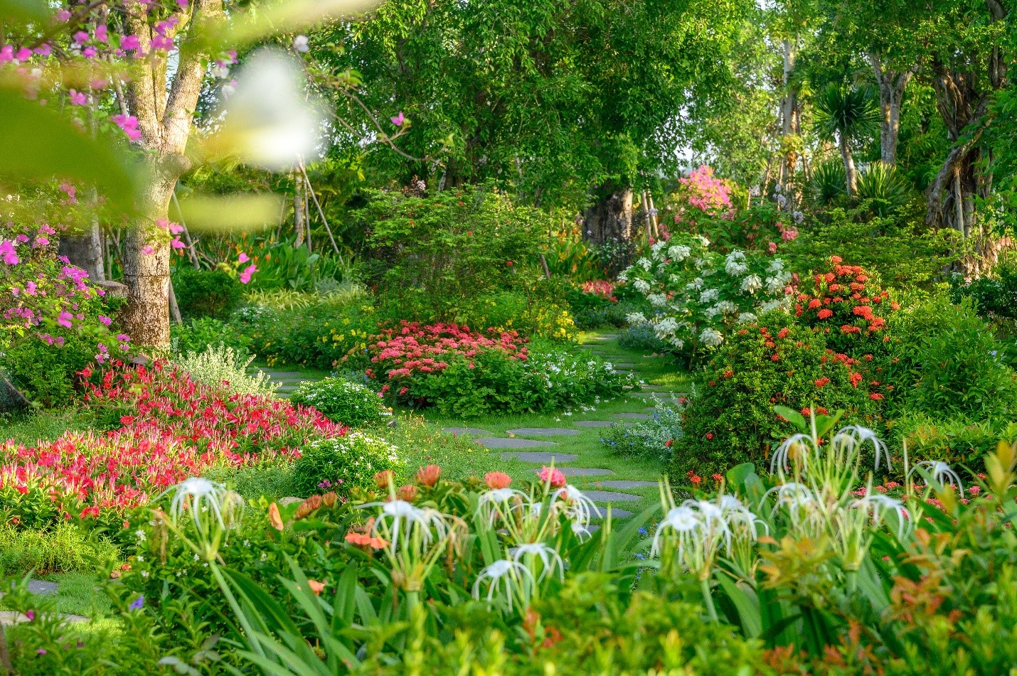 Ecovillage Saigon River c&oacute; tr&ecirc;n 200 loại hoa, nở rực rỡ quanh năm.