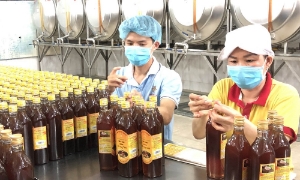 Kiểm soát chất lượng mật ong là yêu cầu “sống còn” để giữ thị trường xuất khẩu