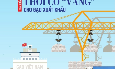 VnEconomy