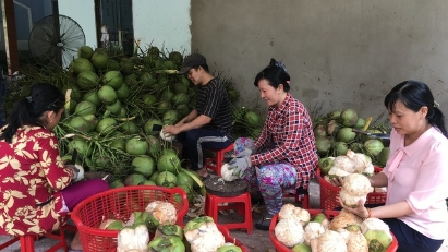 Ben Tre coconut exporters targeting large markets