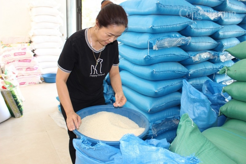 Nhiều đại lý gạo lớn trên địa bàn tỉnh Thanh Hóa đã thực hiện cam kết không găm hàng để đẩy giá gạo lên cao, ảnh hưởng trực tiếp đến người tiêu dùng