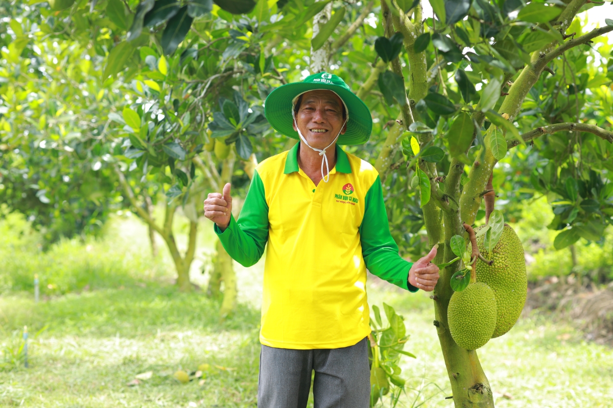 Ông Bùi Văn Hoàng - Tân Thành, Long An chia sẻ sử dụng NPK Cà Mau giúp năng suất cao ổn định, chi phí canh tác giảm
