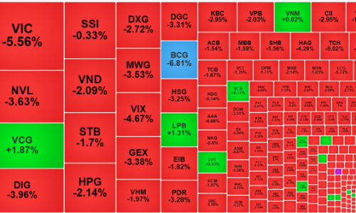 Bán tháo toàn diện, thanh khoản kỷ lục 17 tháng, cổ phiếu giảm giá gấp 9 lần tăng