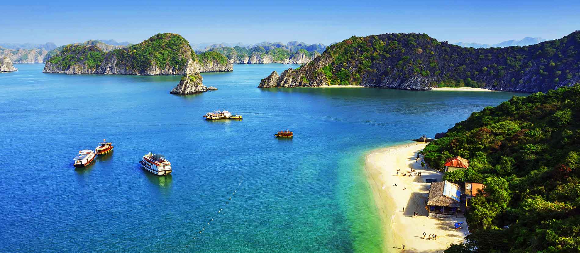 Ảnh minh họa.