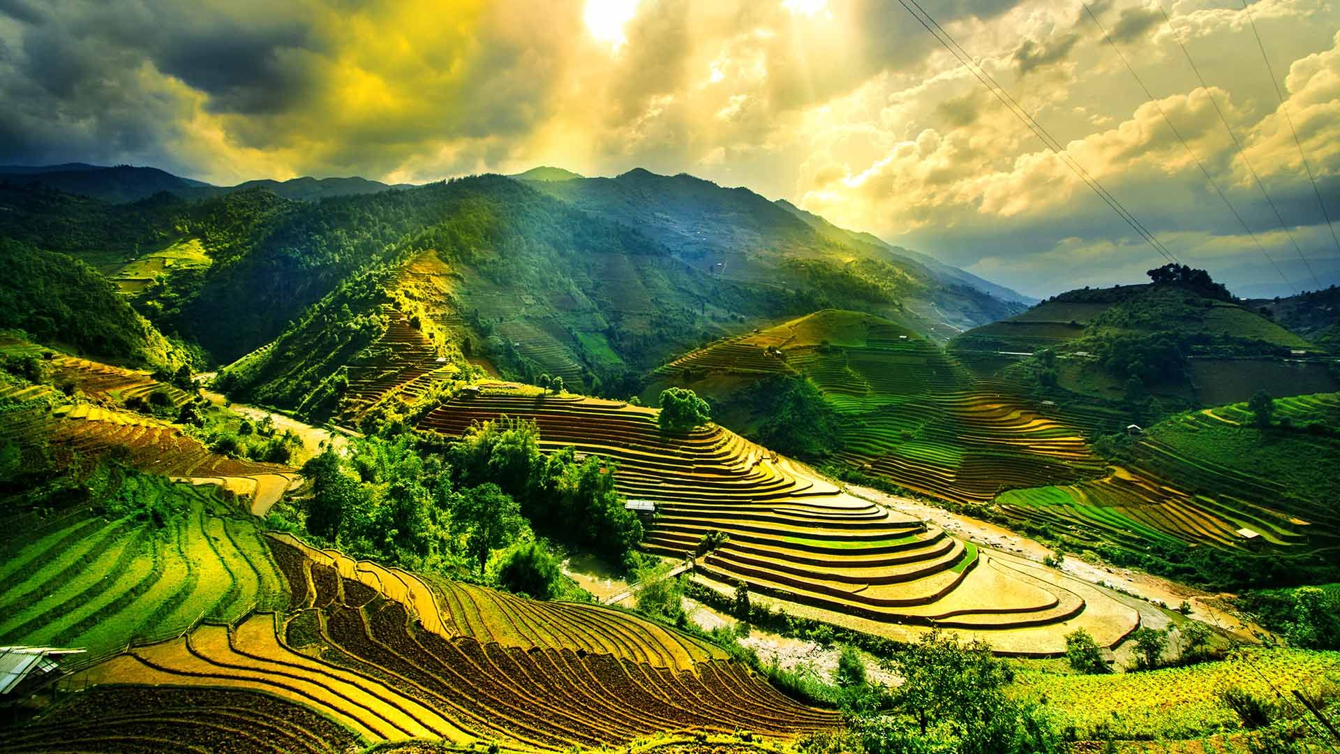 Ở miền Bắc, thay vì đi biển như dịp cao điểm hè, du khách thường chọn các điểm đến gần và có xu hướng dịch chuyển về phía vùng núi Đông - Tây Bắc.