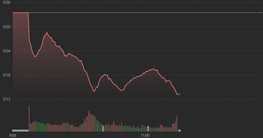 VN-Index lao dốc rất nhanh sáng nay.