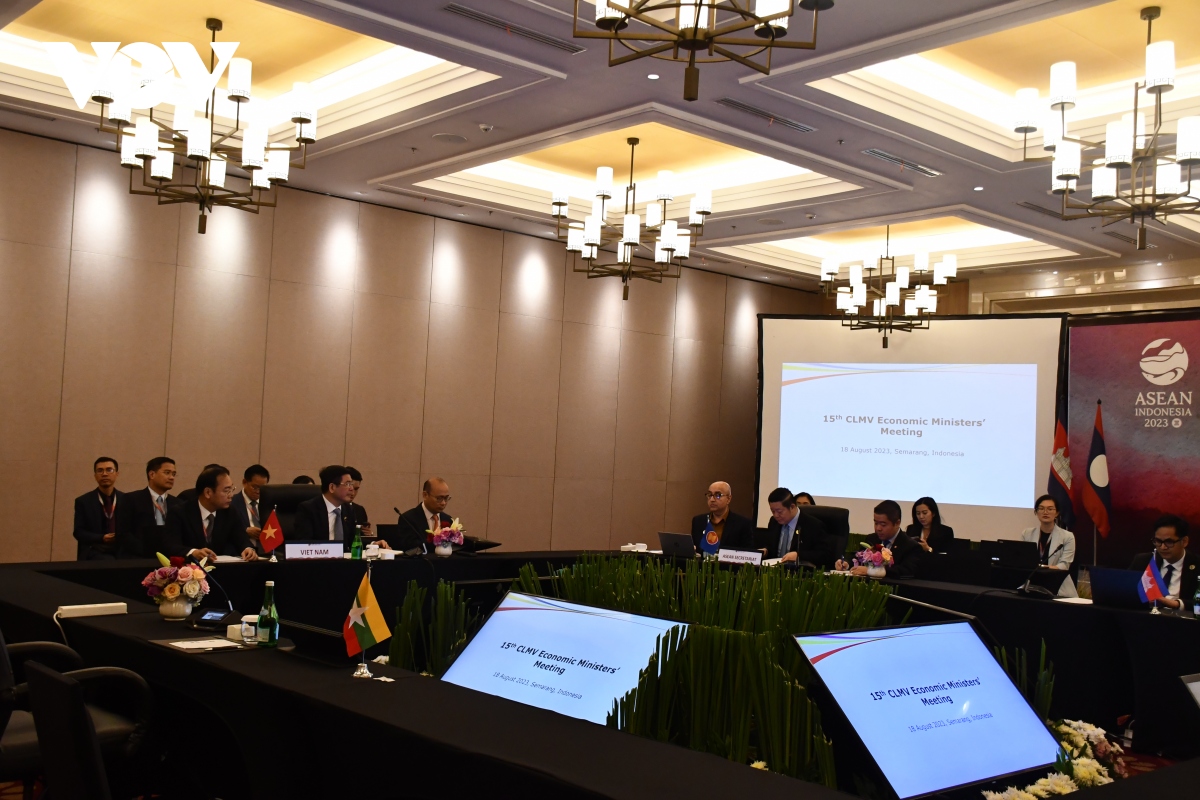 Delegates at the CLMV EMM 15 in Indonesia on August 18.