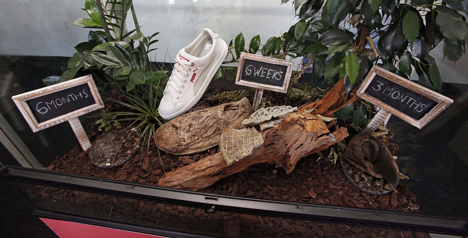 M&ocirc; h&igrave;nh m&ocirc; tả qu&aacute; tr&igrave;nh ph&acirc;n hủy sinh học của một đ&ocirc;i gi&agrave;y thế hệ mới từ 6 tuần, 3 th&aacute;ng đến 6 th&aacute;ng.