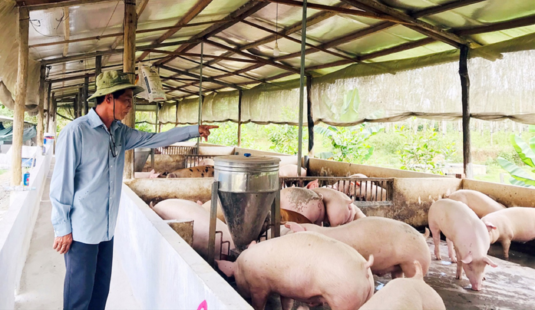 Chăn nuôi phải đảm bảo an toàn dịch bệnh.