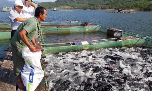 Ngành hải sản xác định 3 trụ cột:  Khai thác, nuôi biển và bảo tồn