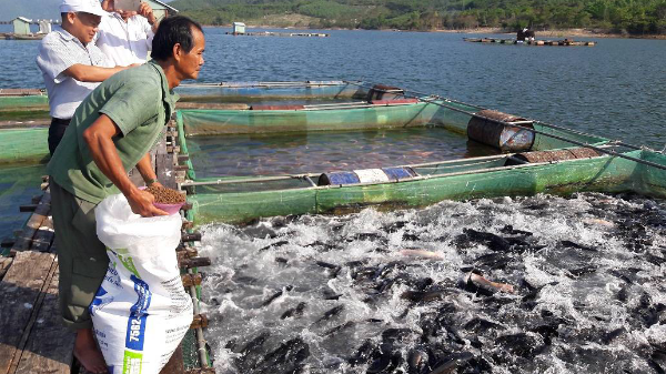 Ngành hải sản xác định 3 trụ cột:  Khai thác, nuôi biển và bảo tồn