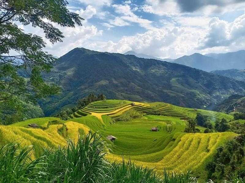 Regional councils to boost sustainable development in Mekong Delta and northern mountains