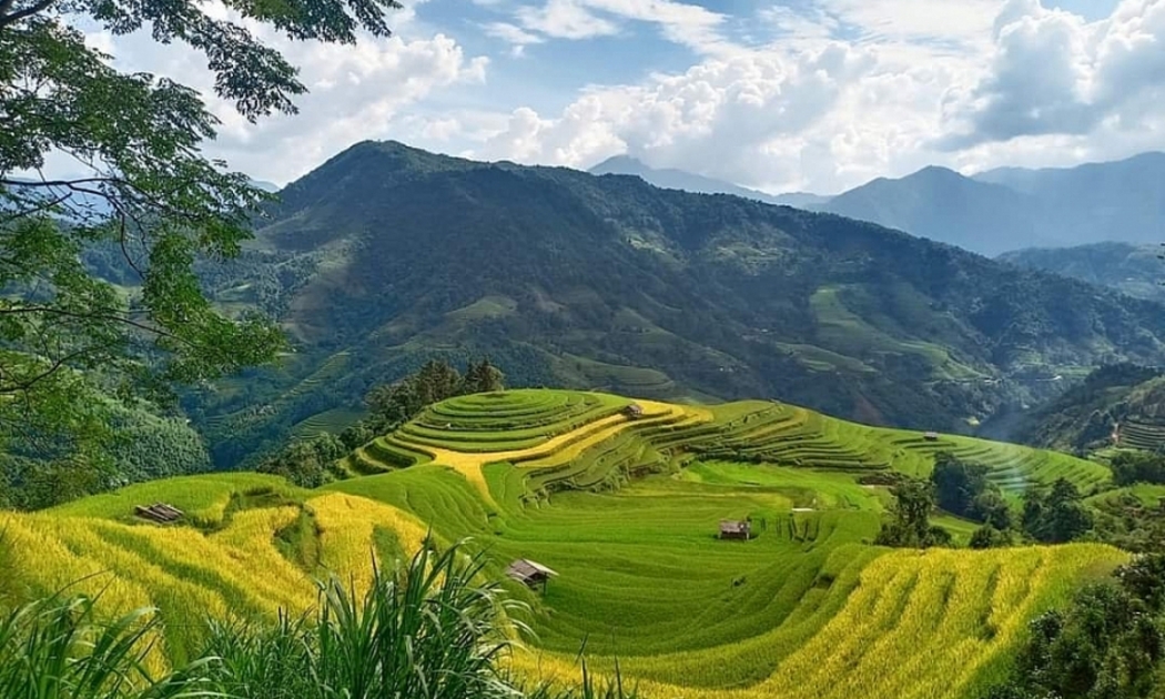 Hội đồng sẽ điều phối các hoạt động liên kết phát triển đồng bộ hệ thống hạ tầng kinh tế - xã hội của vùng - Ảnh minh họa