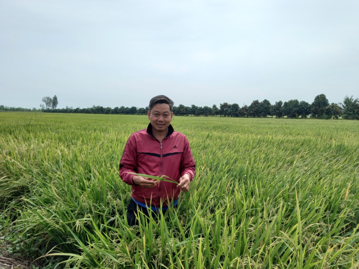 Anh Lưu Văn Đ&igrave;nh tr&uacute;ng m&ugrave;a bội thu khi đặt niềm tin v&agrave;o sản phẩm NPK Ph&uacute; Mỹ.