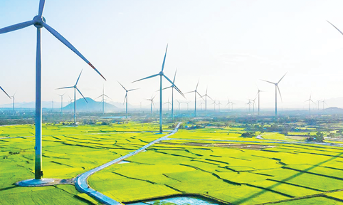 Nhiều doanh nghiệp ngại đi trên “con đường màu xanh”