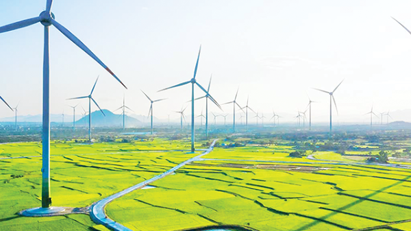 Nhiều doanh nghiệp ngại đi trên “con đường màu xanh”