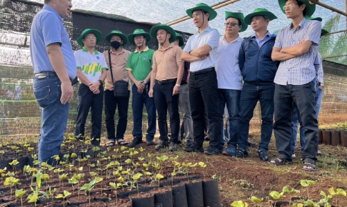 Đặt niềm tin vào NPK Phú Mỹ, nông dân được mùa, bội thu