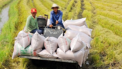 Vietnam targets rice exports of 7.8mln tons in 2023