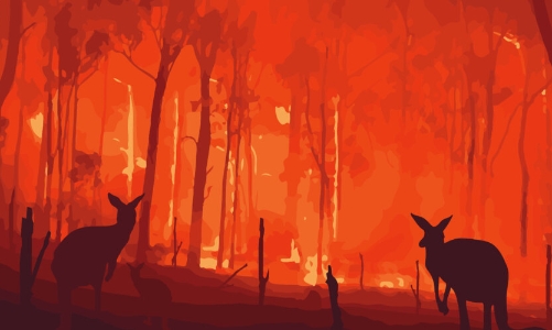 Australia thí điểm sử dụng camera AI ngăn chặn cháy rừng