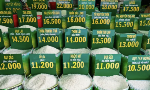 Giá gạo tăng dữ dội, lạm phát ở châu Á liệu có “bốc đầu”?