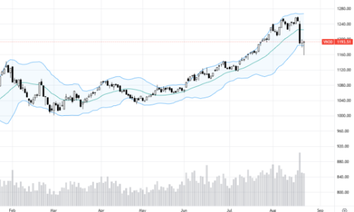 Blog chứng khoán: Giữ chặt hàng bắt đáy?