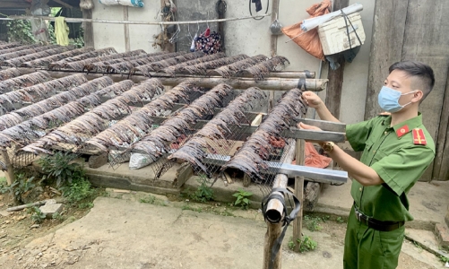 Khai thác giun đất trái phép: Nguy cơ suy giảm chất lượng đất nông nghiệp