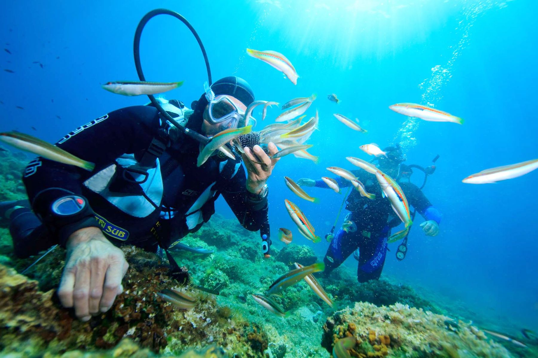Nha Trang chưa bao giờ khiến những tín đồ mê lặn biển thất vọng.