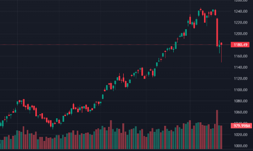 Cầu bắt đáy nâng giá, cổ phiếu phục hồi mạnh, nhóm chứng khoán thăng hoa