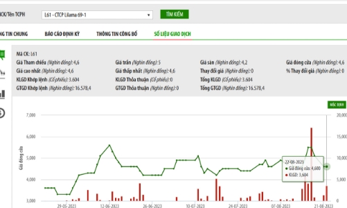 Lỗ lũy kế vượt vốn chủ sở hữu, cổ phiếu L61 vào diện kiểm soát và bị cắt margin