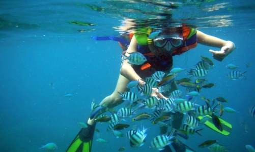 Nỗ lực phục hồi lợi thế du lịch lặn biển tại Nha Trang