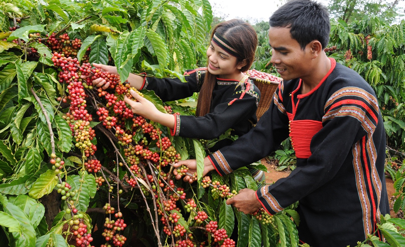 Các địa phương đã từng bước khai thác thế mạnh này để các hợp tác xã, nhà vườn phát triển sản phẩm OCOP, đồng thời thu hút khách du lịch.