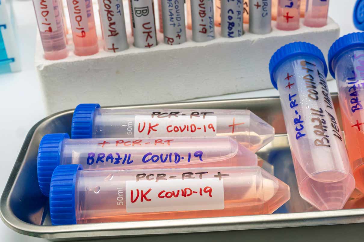 C&aacute;c nh&agrave; khoa học cho rằng do hạn chế về giải tr&igrave;nh tự gene n&ecirc;n số ca ghi nhận ch&iacute;nh thức chưa đ&uacute;ng với thực tế.