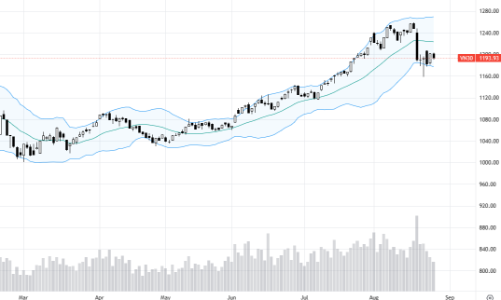 Blog chứng khoán: Hết cơ hội T+, tiền có thể suy yếu dần