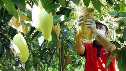 Ministry calls for increased management of codes for farm produce