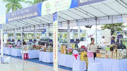 1,000 startup ideas and products showcased at Techfest Quang Nam