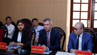 Finnish group proposes building power plant in Ninh Binh