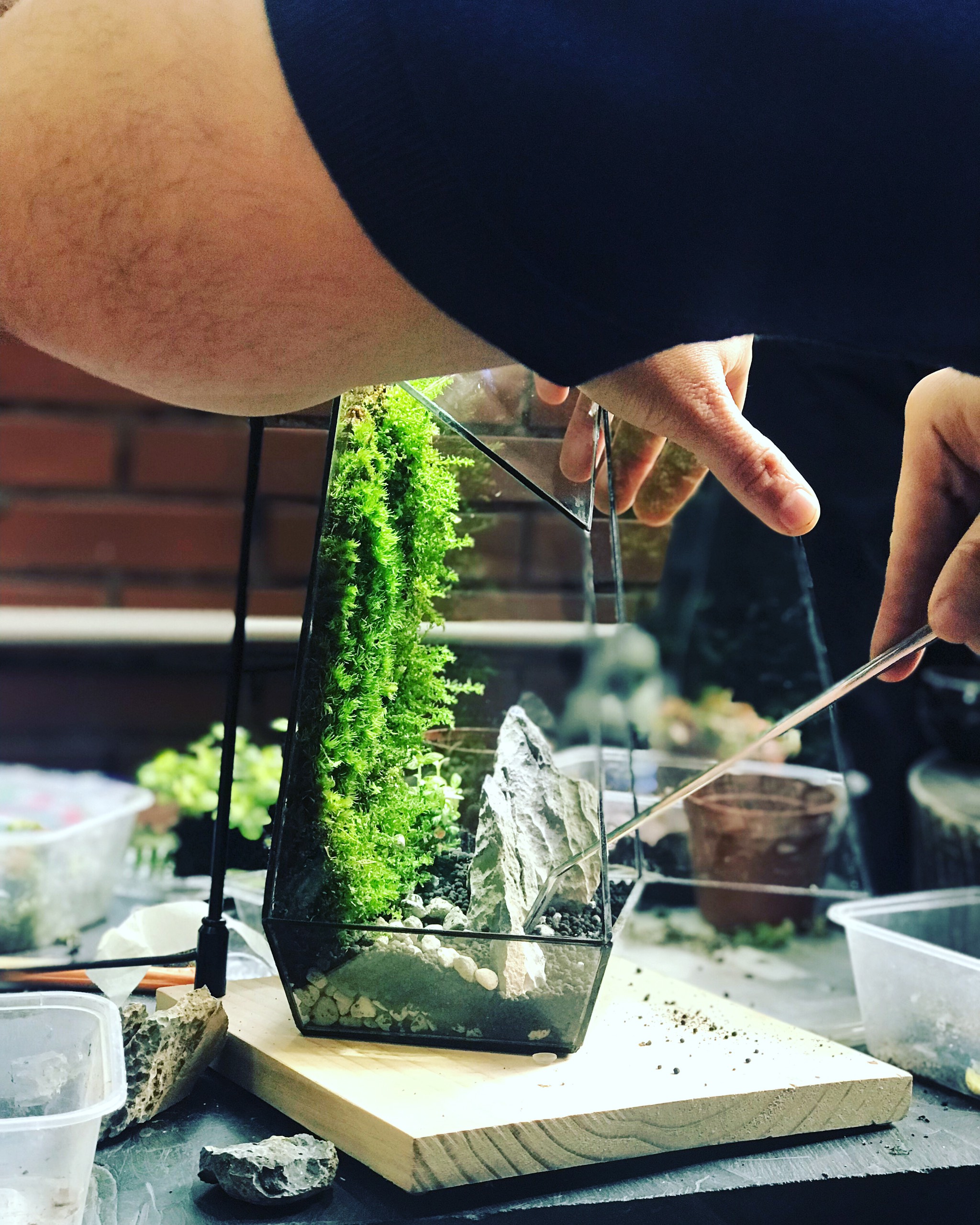 Anh Tú chia sẻ anh đã bén duyên với Terrarium từ 2018.