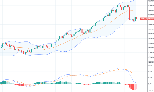 Xu thế dòng tiền: Điều chỉnh đã xong?