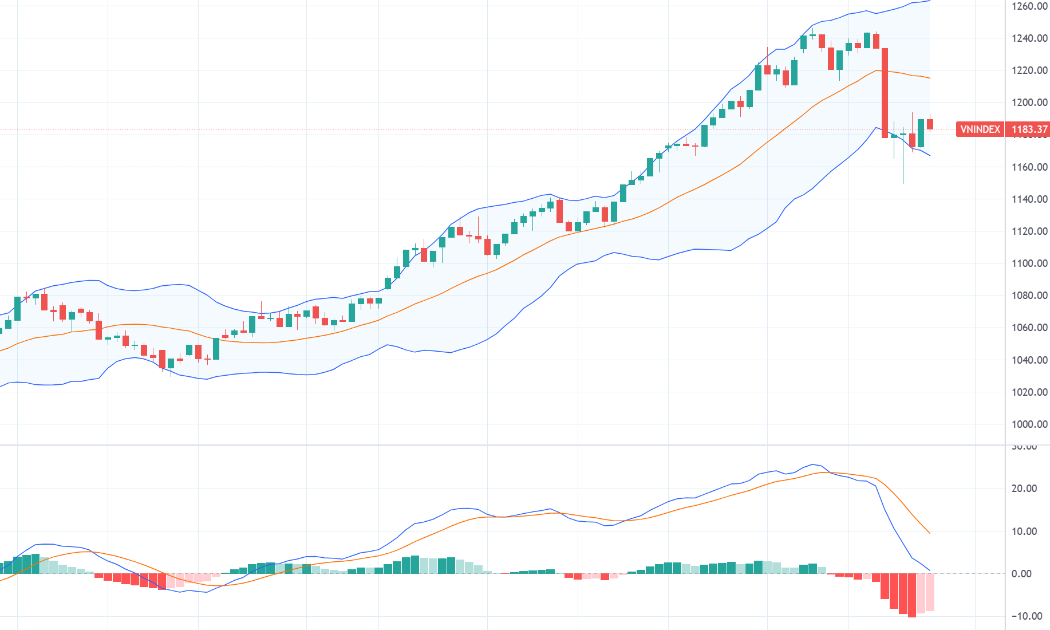 Diễn biến chỉ số VN-Index và chỉ báo kỹ thuật MACD.